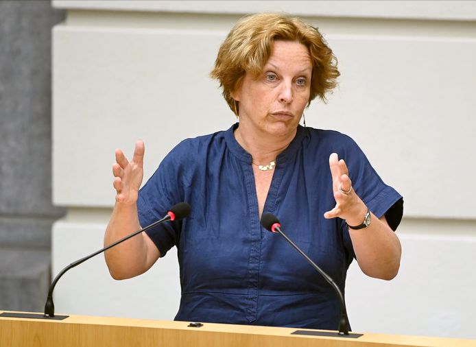 Mieke Schauvliege, Vlaams parlementslid voor Groen