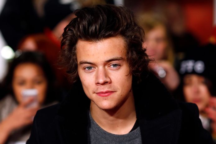 Harry Styles met de coupe die wel in de smaak viel bij zijn fans.