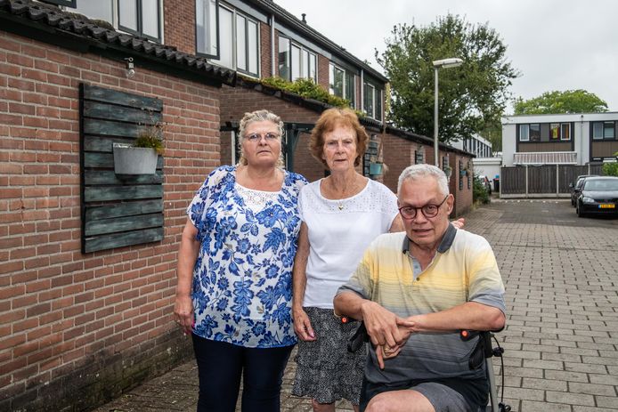 Bestsellers: De beste items in Laminaatvloeren op basis van de aankopen van -klanten