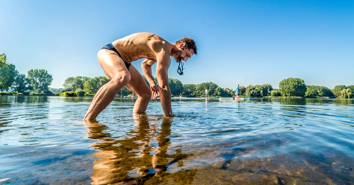 Blauwalg rukt op in Delftse Hout: ‘We waarschuwen zwemmers’