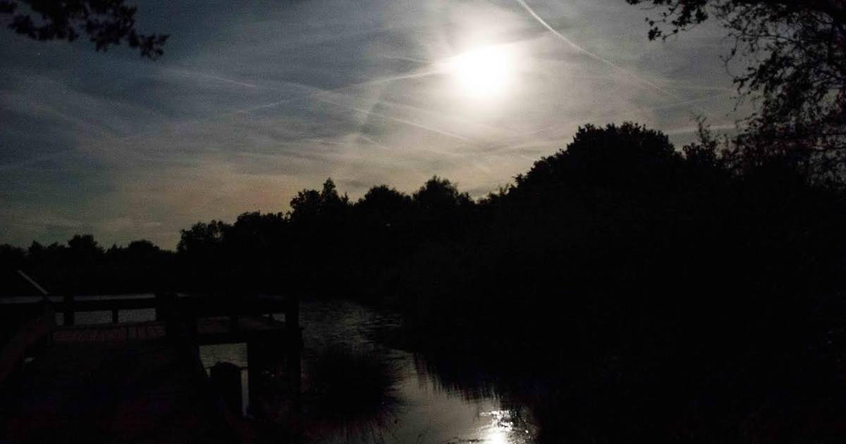 De Groote Peel tijdens volle maan