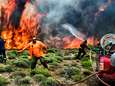 Griekse brandweer: "Regering maakte 1.000 kleine fouten die hebben geleid tot ongezien hoge dodentol"