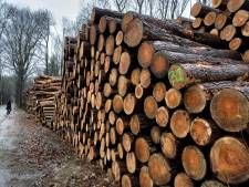 Onrust over bomenkap Wijboschbroek: ‘Is dit wel wat er is afgesproken?’