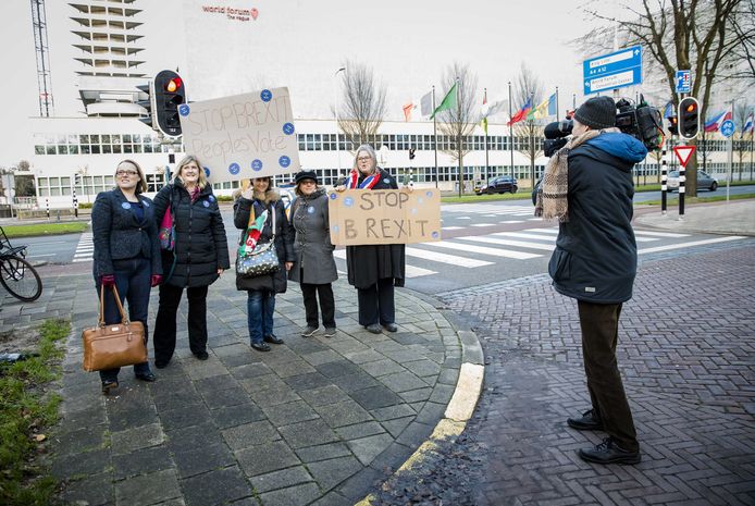 Enkele anti-brexitdemonstranten verzamelden voor het Catshuis in Den Haag.