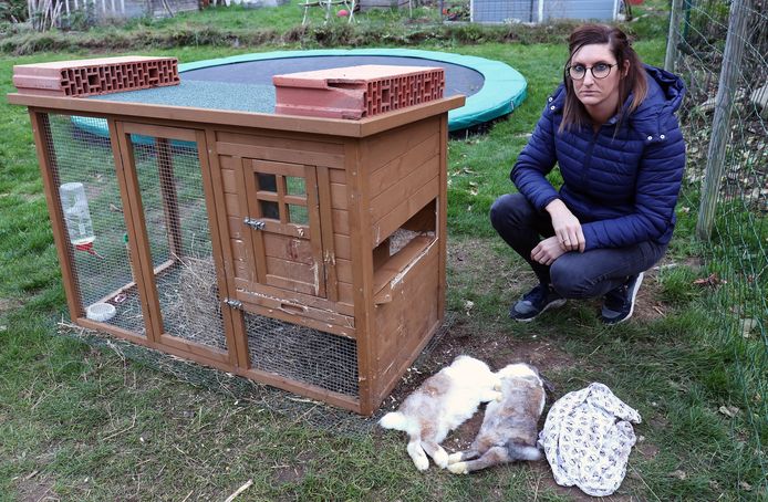 Ellen Swennen vond haar twee konijnen dood terug in haar tuin. Naast hen lag er een sjaal met doodskoppen op.