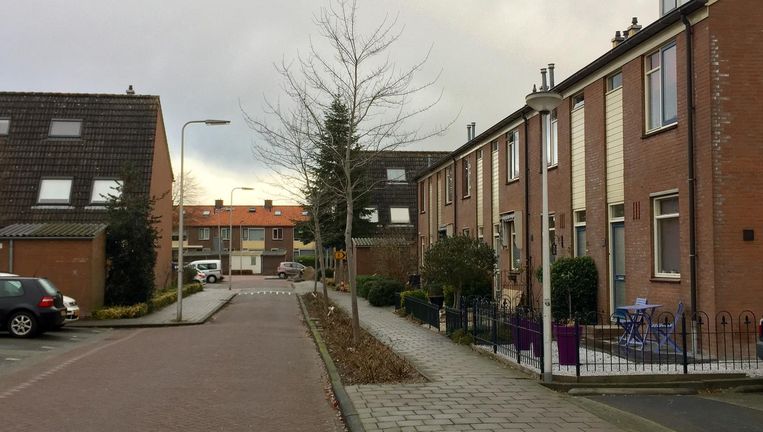'Wat een bofkonten zijn het toch' | De Volkskrant - Volkskrant