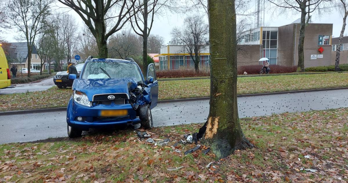 Vrouw raakt gewond na botsing met boom in Nunspeet.