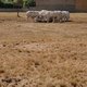 12,7 miljoen in de strijd tegen droogte en water