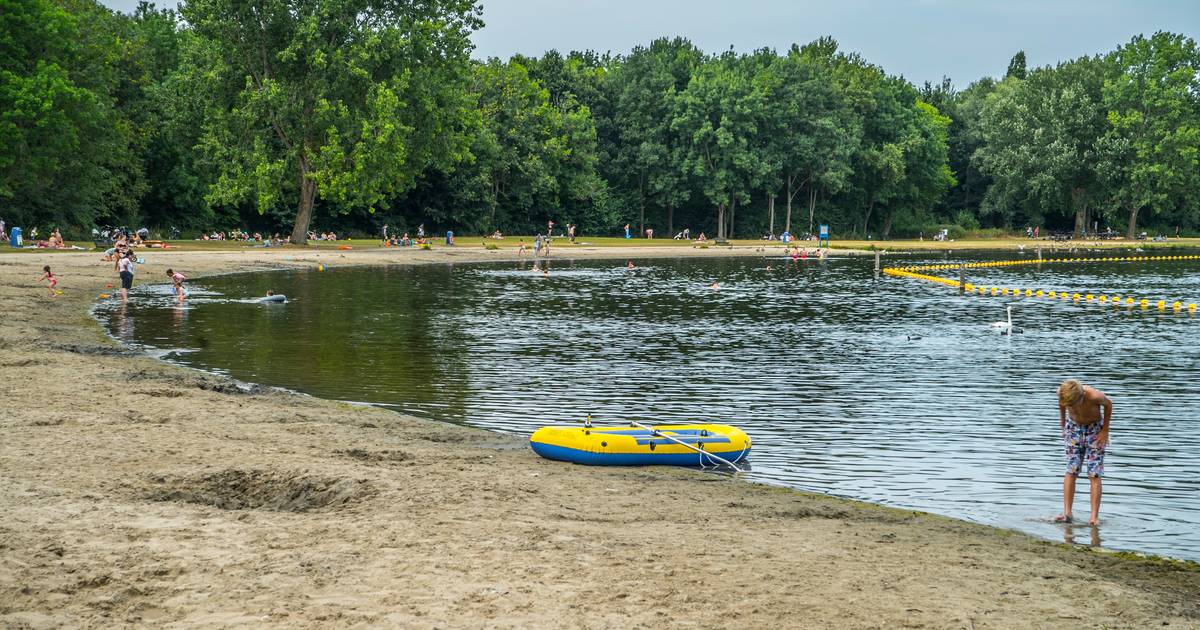 Opnieuw blauwalg Delftse Hout