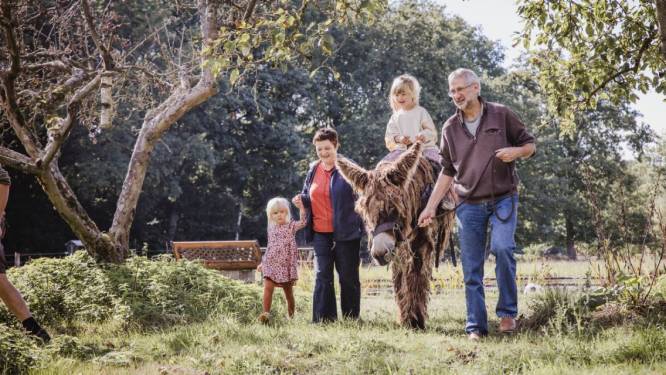 Tocht met ezel van vakantieboerderij uit Halle-Zoersel genomineerd voor ‘Wandeling van het Jaar’
