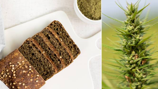 Cannabisbrood vanaf vandaag verkrijgbaar in ons land: is dat lekker? En word je er high van?