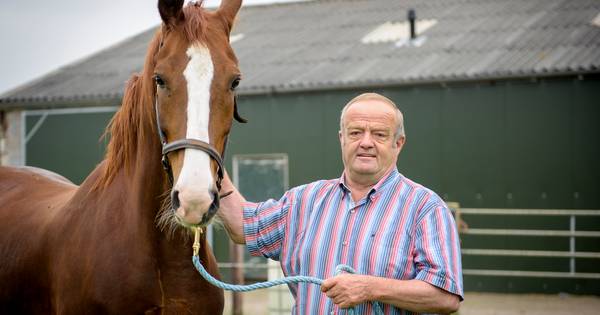 Jan Hoppenbrouwers uit Wintelre: 'Je bent hier niet tegen opgewassen als boer'
