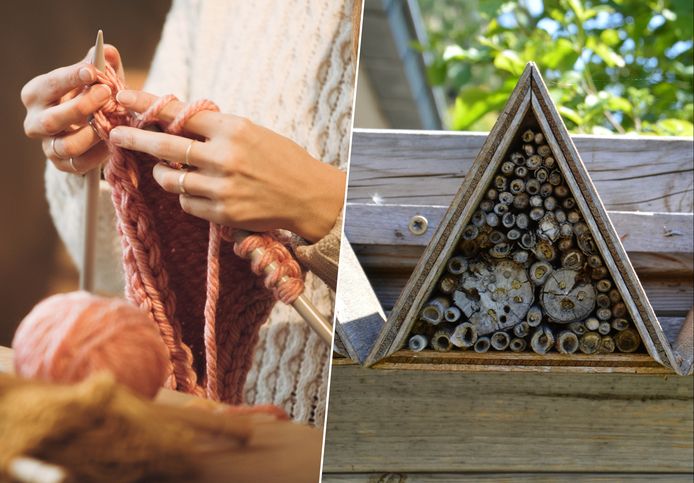 Van een workshop breien tot je eigen insectenhotel maken: wij lijsten zeven workshops op om de wintermaanden door te komen.