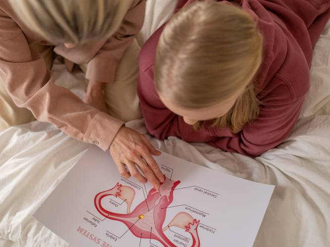 De clitoris krijgt vanaf september meer aandacht op school. Seksuoloog Wim Slabbinck: “Geeft meisjes macht over hun lichaam”