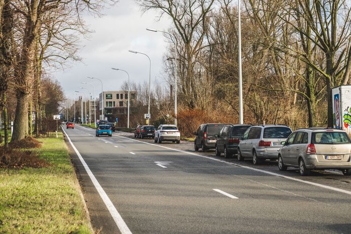 “De bomen op de middenberm blijven gespaard, maar de parkeerplaatsen richting het centrum moeten wel verdwijnen”, meldt het AWV.