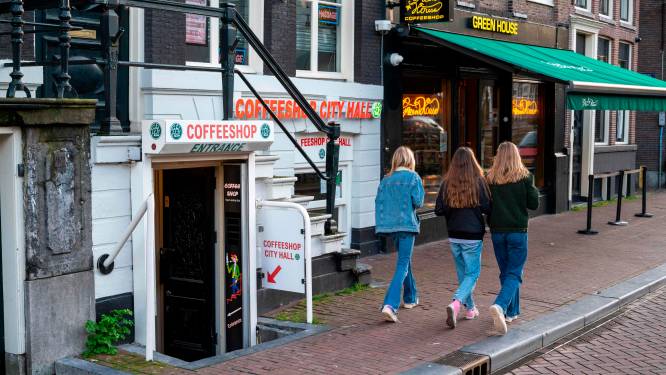 Toerist nog welkom in coffeeshops Amsterdam: burgemeester viseert cannabismarkt om banden met cokehandel