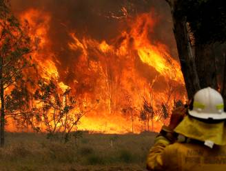 Twee doden en 100 huizen verwoest bij apocalyptische bosbranden in Australië