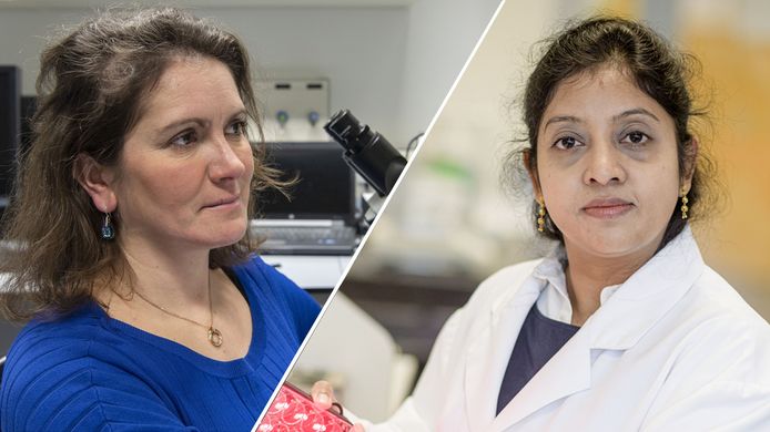 Onderzoekers Séverine Le Gac en Ruchi Bansal.