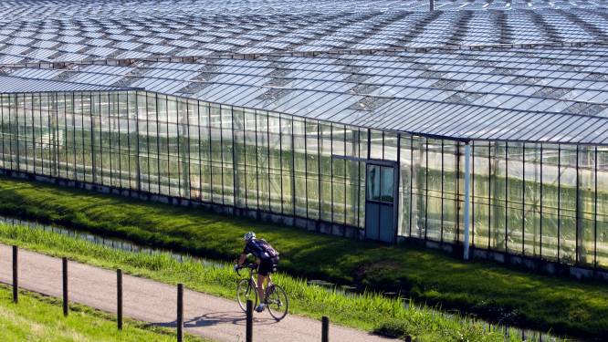 Westlandse tuinders helpen regionale telers aan voldoende water bij neerslagtekorten
