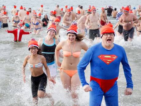 Gemist? Reddingsbrigade roept op om nieuwjaarsduik over te slaan en horrorscenario dreigt voor diergaarde