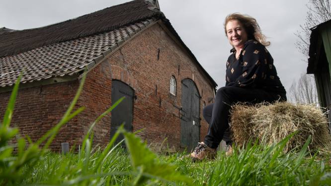 Boerderij met zorgstudio’s aan de IJsseldijk in Welsum stap dichterbij: ‘Deze mensen zijn puur en eerlijk’