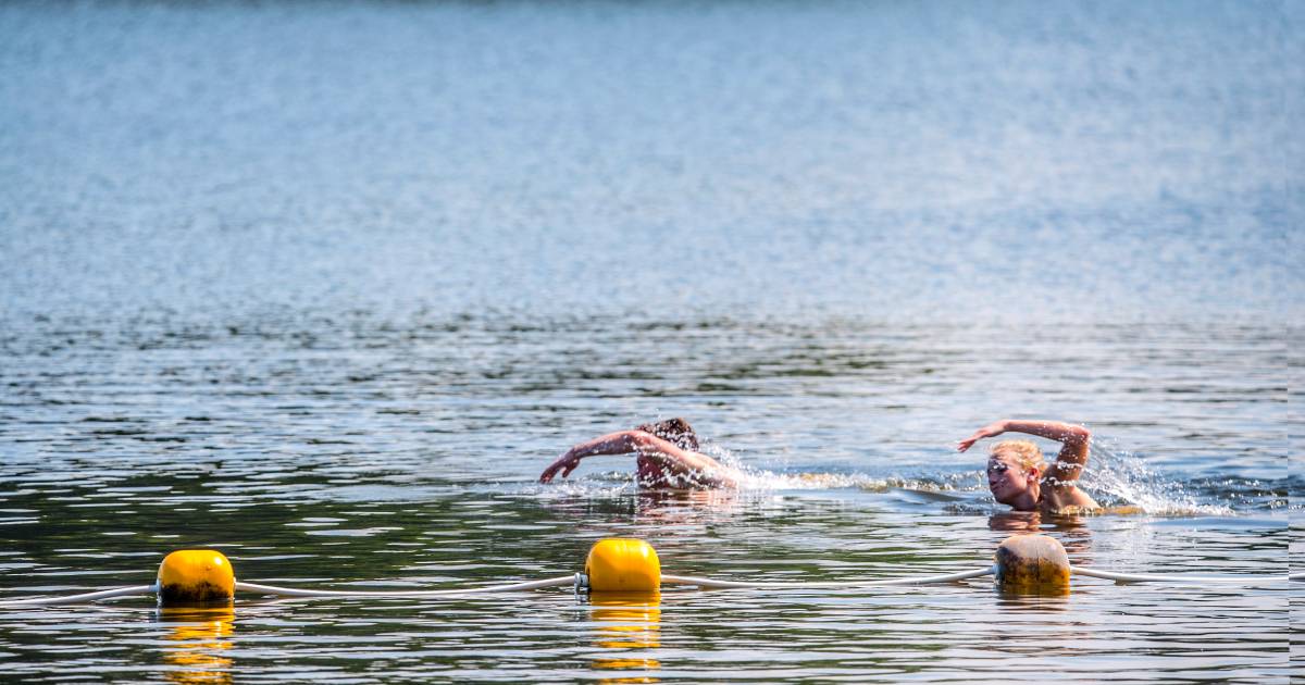 Zwemmen kan weer: Geen blauwalg meer in Delftse Hout
