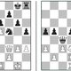 Een ‘vernedering voor Karjakin’ of een blinde vlek aan het schaakbord?