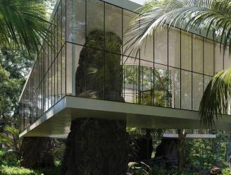 Enorme rotspilaren die door vloer priemen maken modernistische villa nog unieker