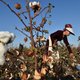De dwangarbeid is afgeschaft en de boycot opgeheven, maar hoe schoon is katoen uit Oezbekistan nu echt?