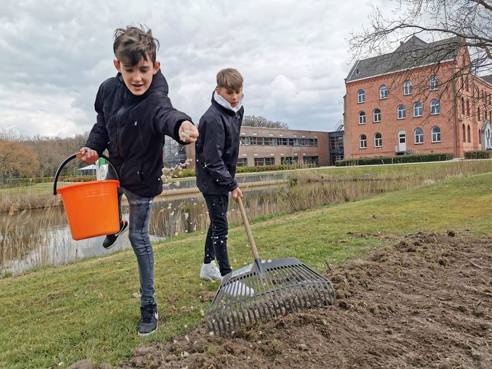 Cédric Scheerders (links) en Sjoerd Goethem hebben lol in het zaaien bij het Reynaertcollege in Hulst.
