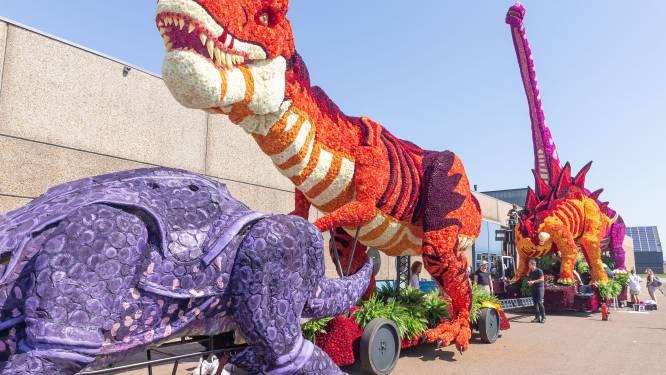‘Doorloopevenement’ Dahliafestival redding voor Corso Vollenhove: ‘Organiseren zit in onze genen’