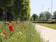 De bloemenborders was een realisatie uit vorige editie.
