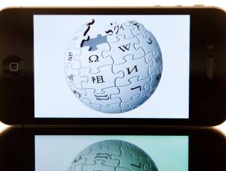 Eerste Wikipedia-pagina voor 750.000 dollar geveild