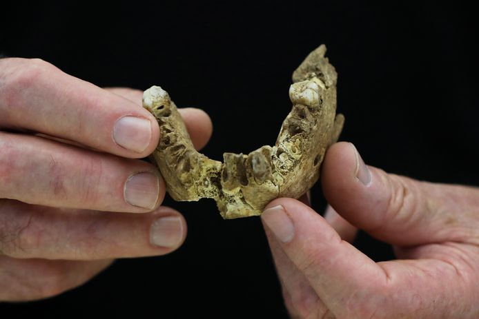 De Nesher Ramla Homo leefde 400.000 jaar geleden in de regio.