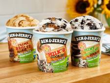 Hagenaar (21) krijgt celstraf voor stelen van Ben & Jerry’s ijs