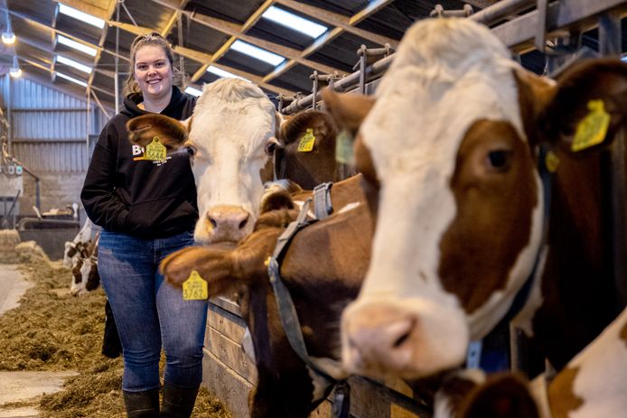 Lieke Versteden bij de melkkoeien op het bedrijf in Oirschot.