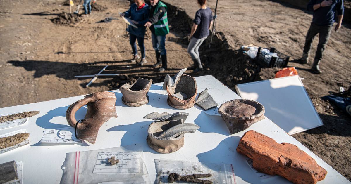 Dreumel als archeologisch rolmodel voor Maas en Waal: 'Het is een ingewikkelde puzzel' - De Gelderla