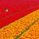Opnieuw weerrecord: warmste 8 april ooit gemeten