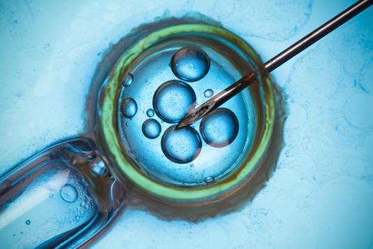 Als Ivf Niet Werkt Waardeloze Baarmoeder You Had One Job Gezond Ad Nl