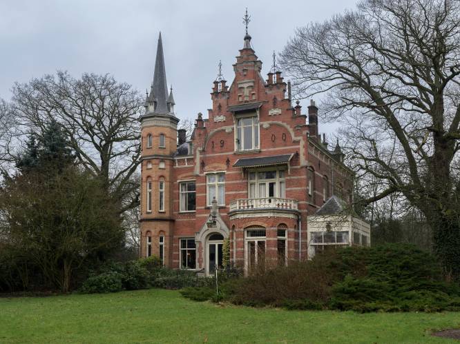 Dungelmann eindhoven best sale