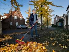 De bomen in deze Valkenswaardse straat veroorzaken een poeplucht