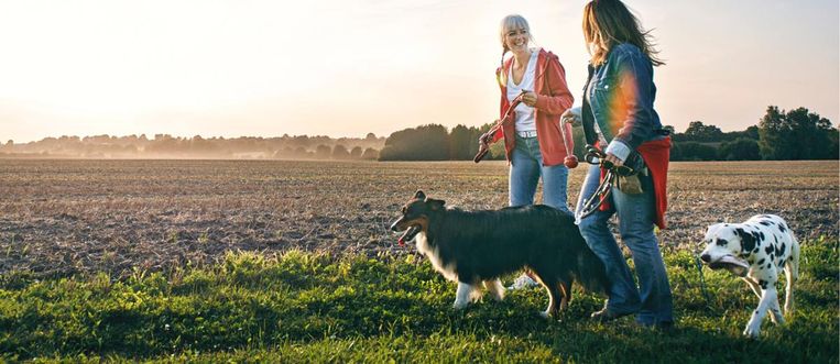 Dít zijn de meest gemaakte fouten tijdens het wandelen Beeld Getty Images