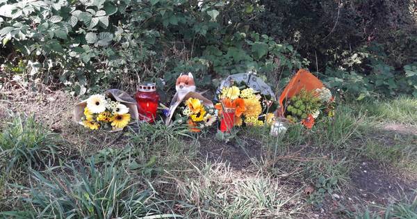 26-jarig slachtoffer van mogelijk opzettelijke aanrijding in Apeldoorn overleden