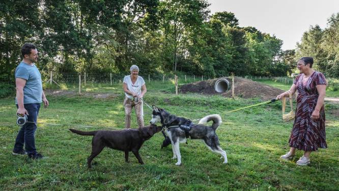 Kortrijk opent twee nieuwe hondenloopweides, vijf andere krijgen renovatie