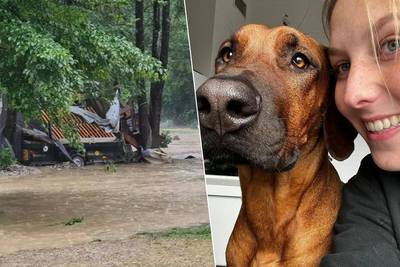 Hond van Belgisch gezin wordt meegesleurd door overstromingen in Slovenië: “Nog steeds geen spoor van Cooper”