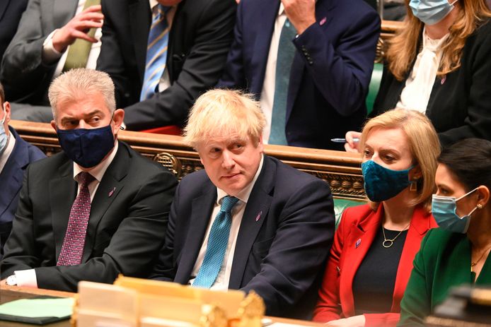 Aan de lijst met schandalen rond Boris Johnson is nu een rel rond de evacuatie van dieren uit Afghanistan toegevoegd.