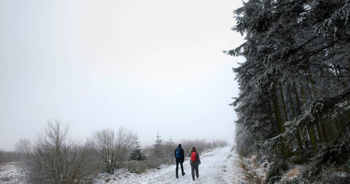 WEERBERICHT. Sneeuwlaagje bedekt Hoge Venen “Op hoogste plaatsen kan sneeuwtapijt aangroeien