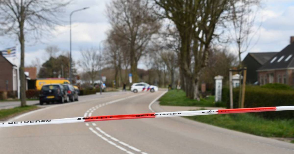 Paard slaat op hol en wordt aangereden in Meliskerke.