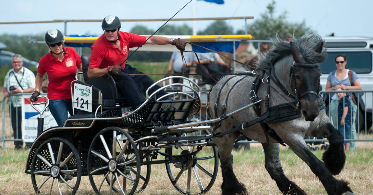 Noordwelle maakt zich op voor Power Horse Competition