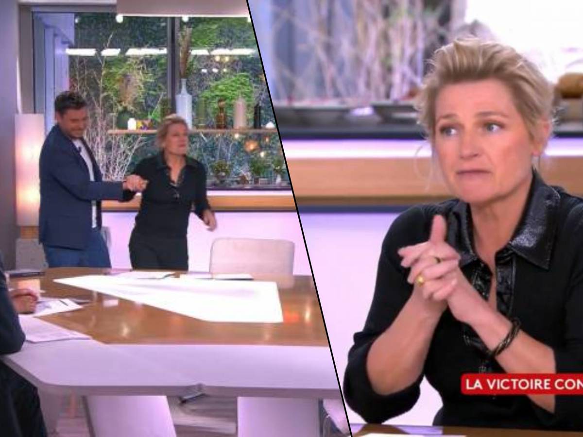 Victime d'un malaise, Anne-Elisabeth Lemoine quitte le plateau de “C à  vous” | Télé | 7sur7.be